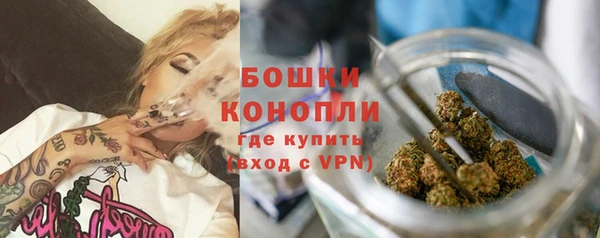 не бодяженный Заводоуковск