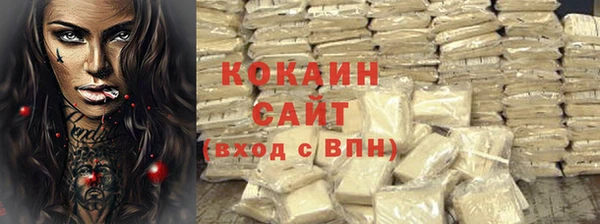 не бодяженный Заводоуковск