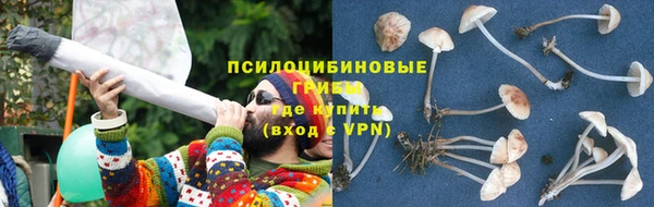 не бодяженный Заводоуковск
